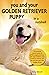 You and Your Golden Retriever Puppy in a Nutshell: The essential owners’ guide to perfect puppy parenting – with easy-to-follow steps on how to ... arrival. (You and Your Puppy in a Nutshell)