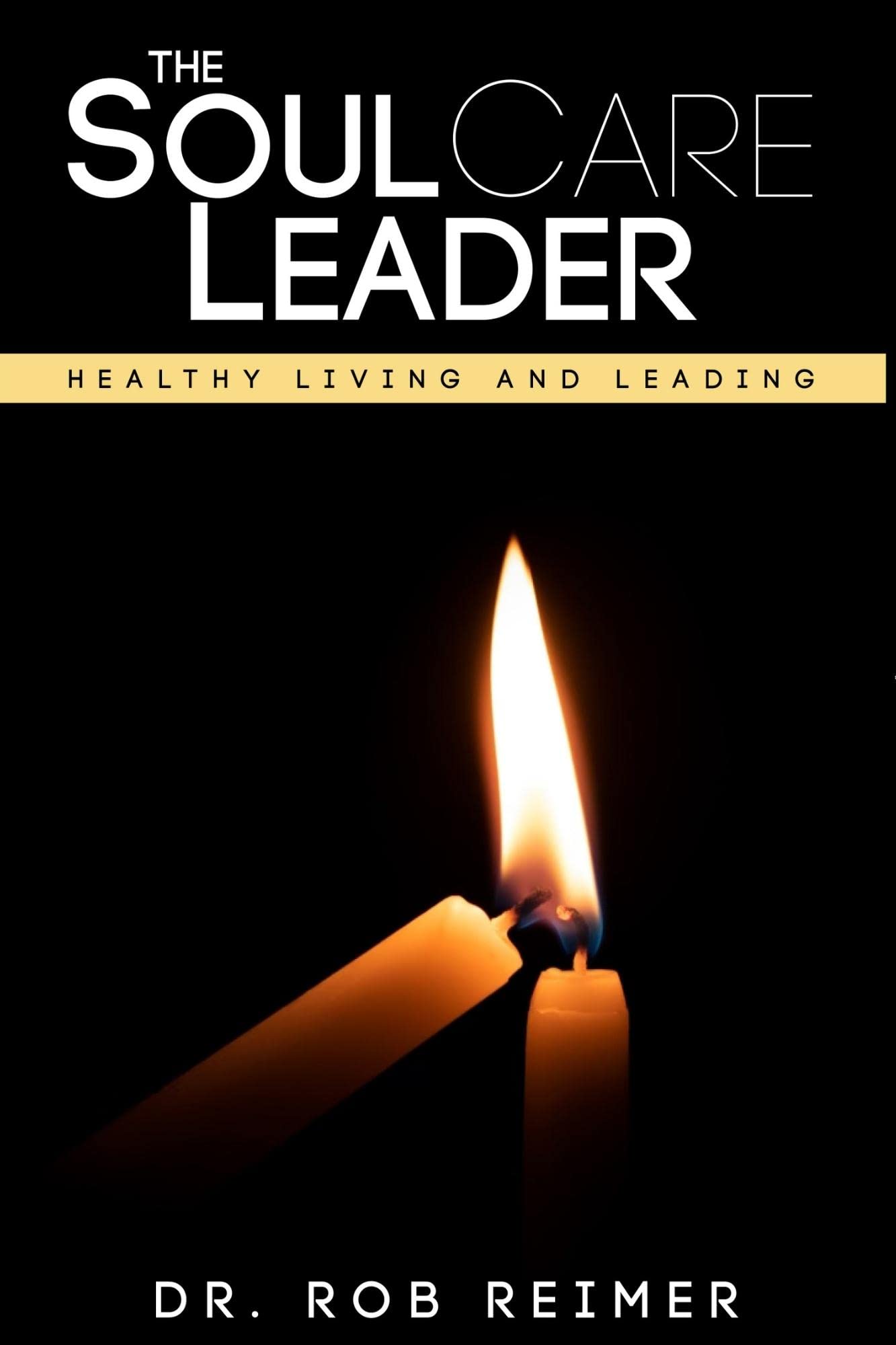 The Soul Care Leader: Healthy Living and Leading (Paperback)