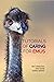 Tutorials Of Caring For Emu...