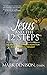 Jesus and the 12 Steps by Mark Denison