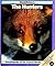 Mammals: The Hunters (Encyclopedia of the Animal World)