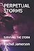 PERPETUAL STORMS by Rachel Jamerson