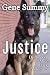 Justice (Driftwood after Da...