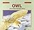Owl (A Year in the Life)