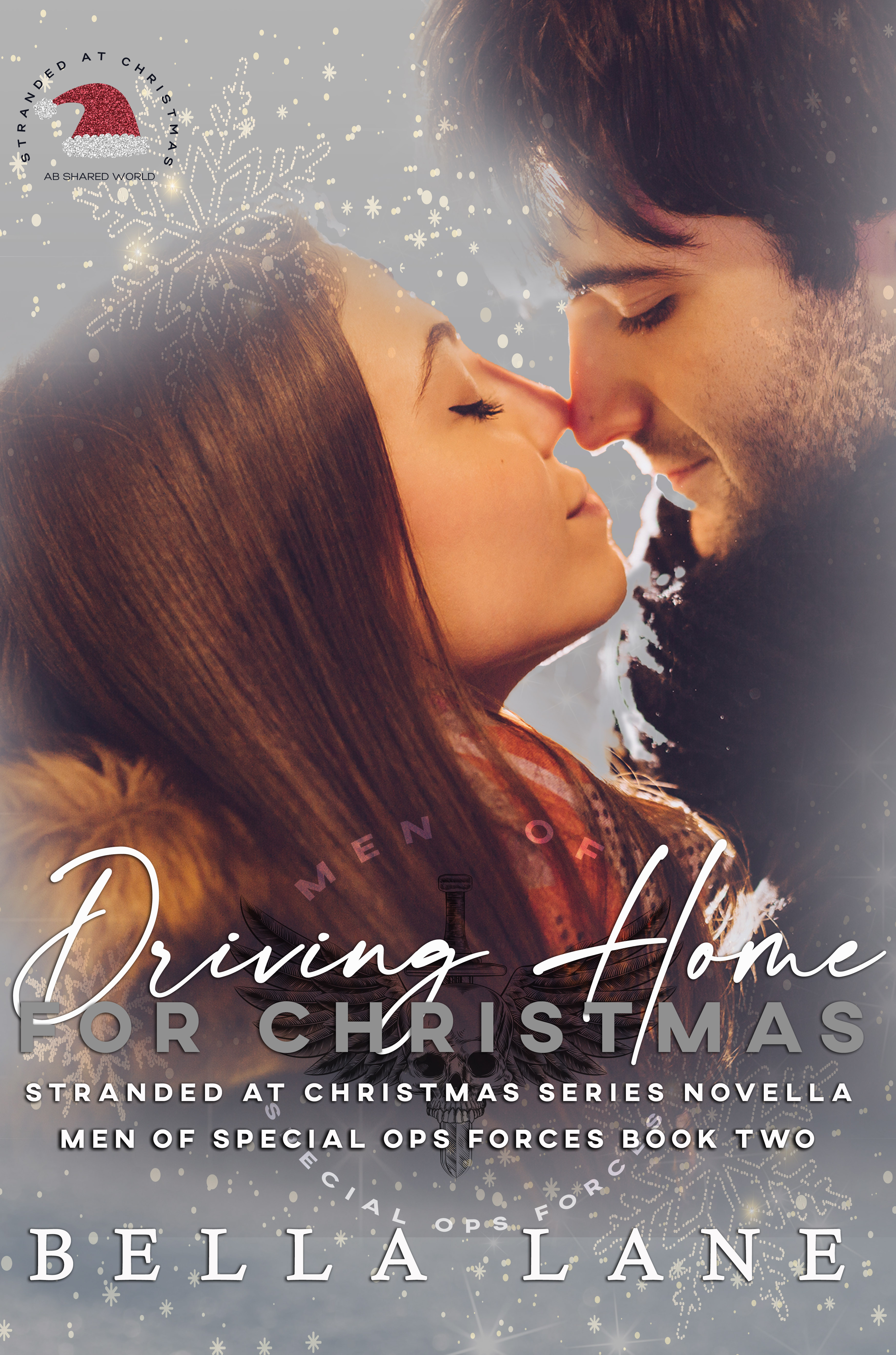 Driving Home for Christmas (Men of Special Ops Forces, #2)