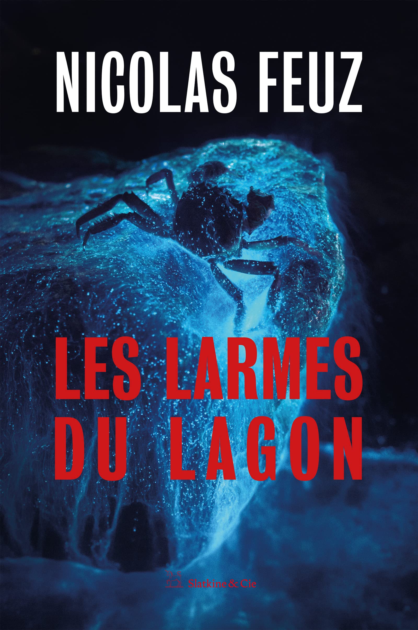 Les larmes du lagon (French Edition)