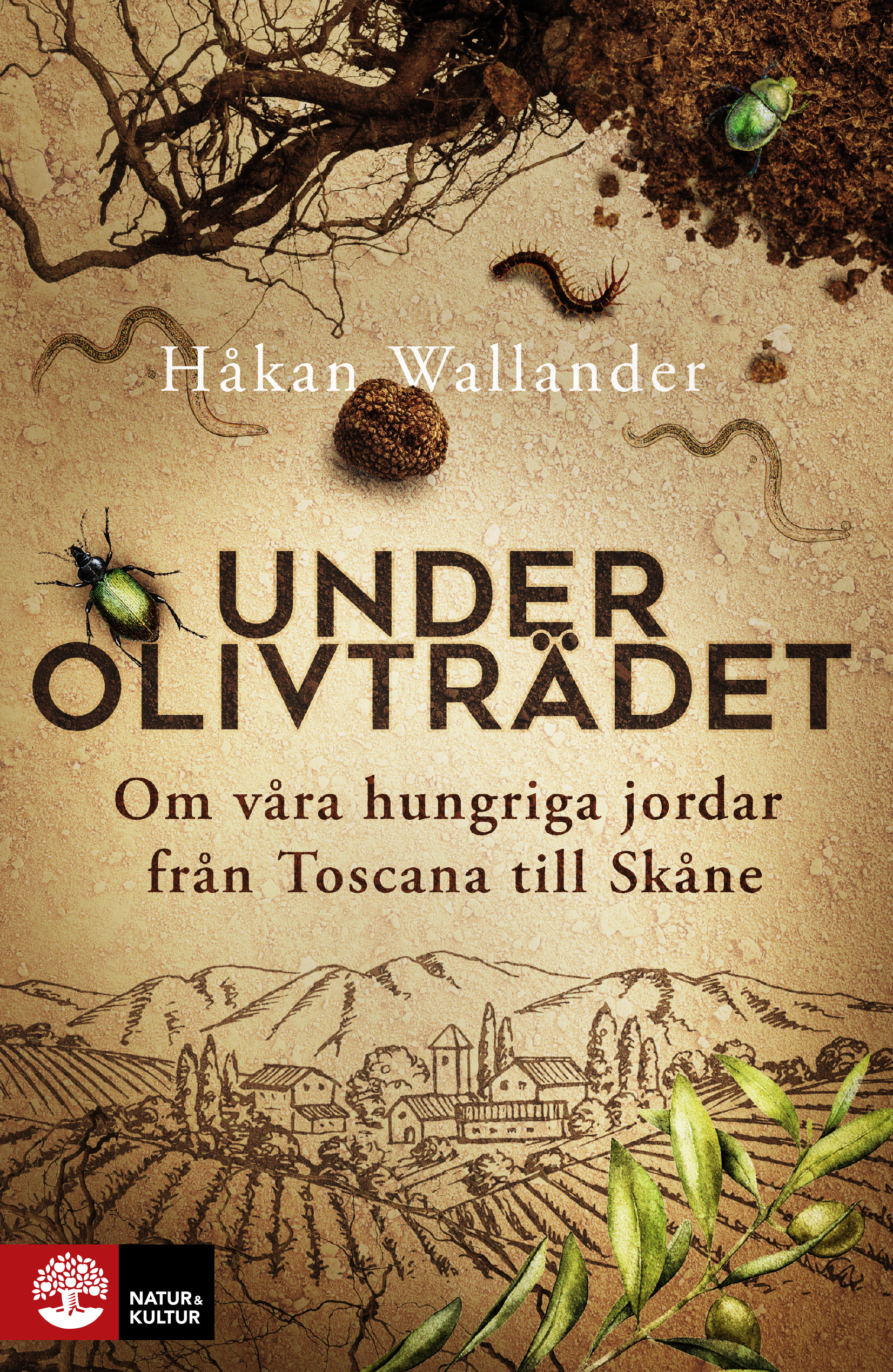 Under olivträdet: Om våra hungriga jordar från Toscana till Skåne