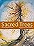 Sacred Trees by Megan Rohrer