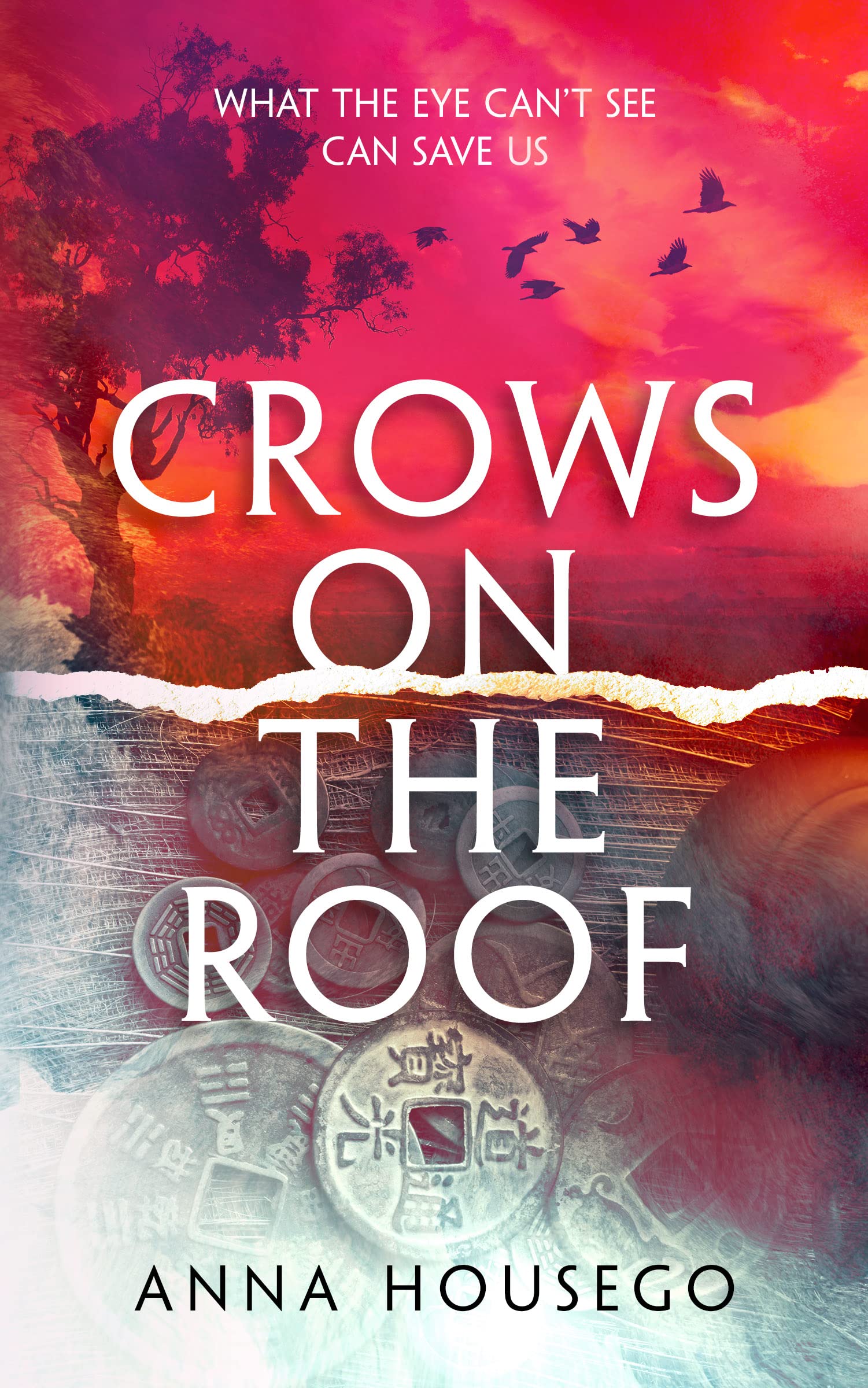 Crows On The Roof (Kindle Edition)