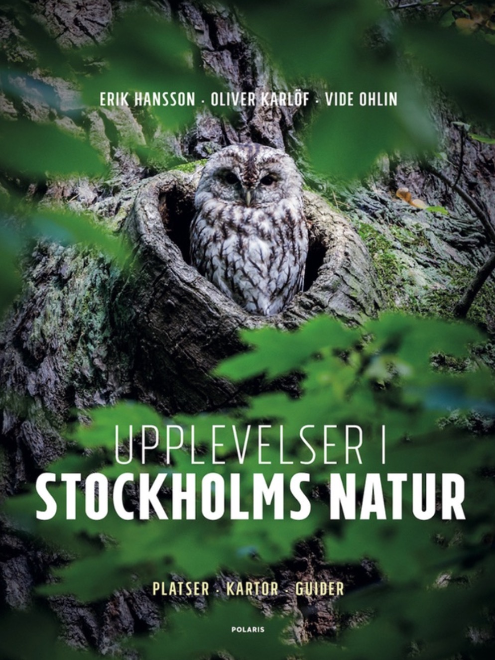 Upplevelser i Stockholms natur (Paperback)