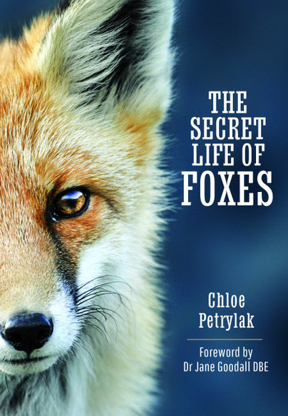 The Secret Life of Foxes (Hardcover)