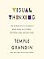 Visual Thinking: The Hidden Gifts of People Who Think in Pictures, Patterns, and Abstractions