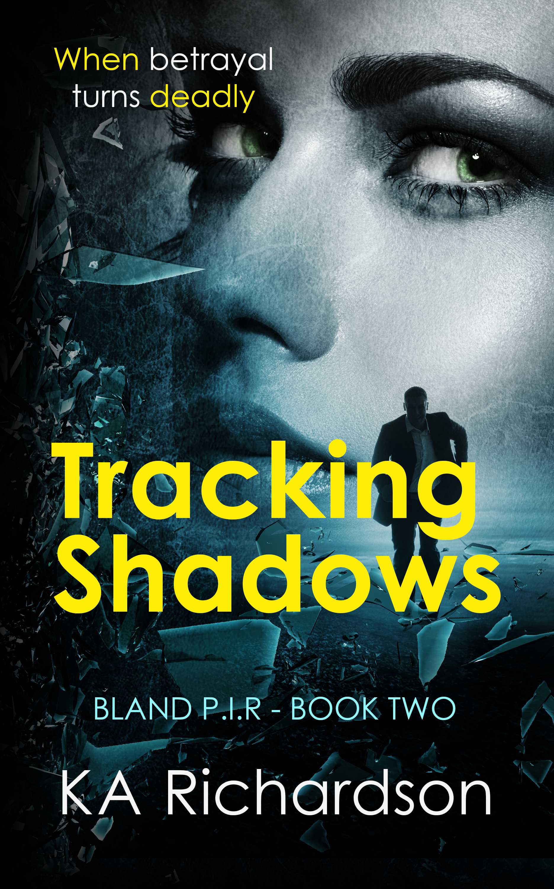 Tracking Shadows; Bland P.I.R Book 2