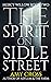 The Spirit on Sidle Street (Mercy Willow, #2)