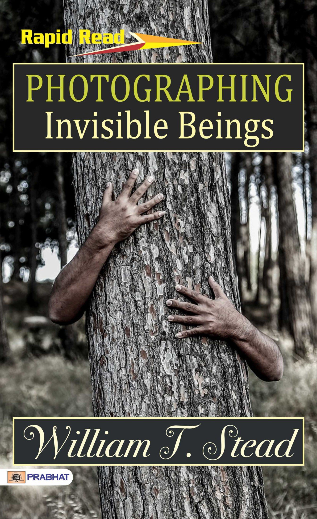 Photographing Invisible Beings by William T. Stead: Exploring the Unseen with the Lens of the Mind (Kindle Edition)