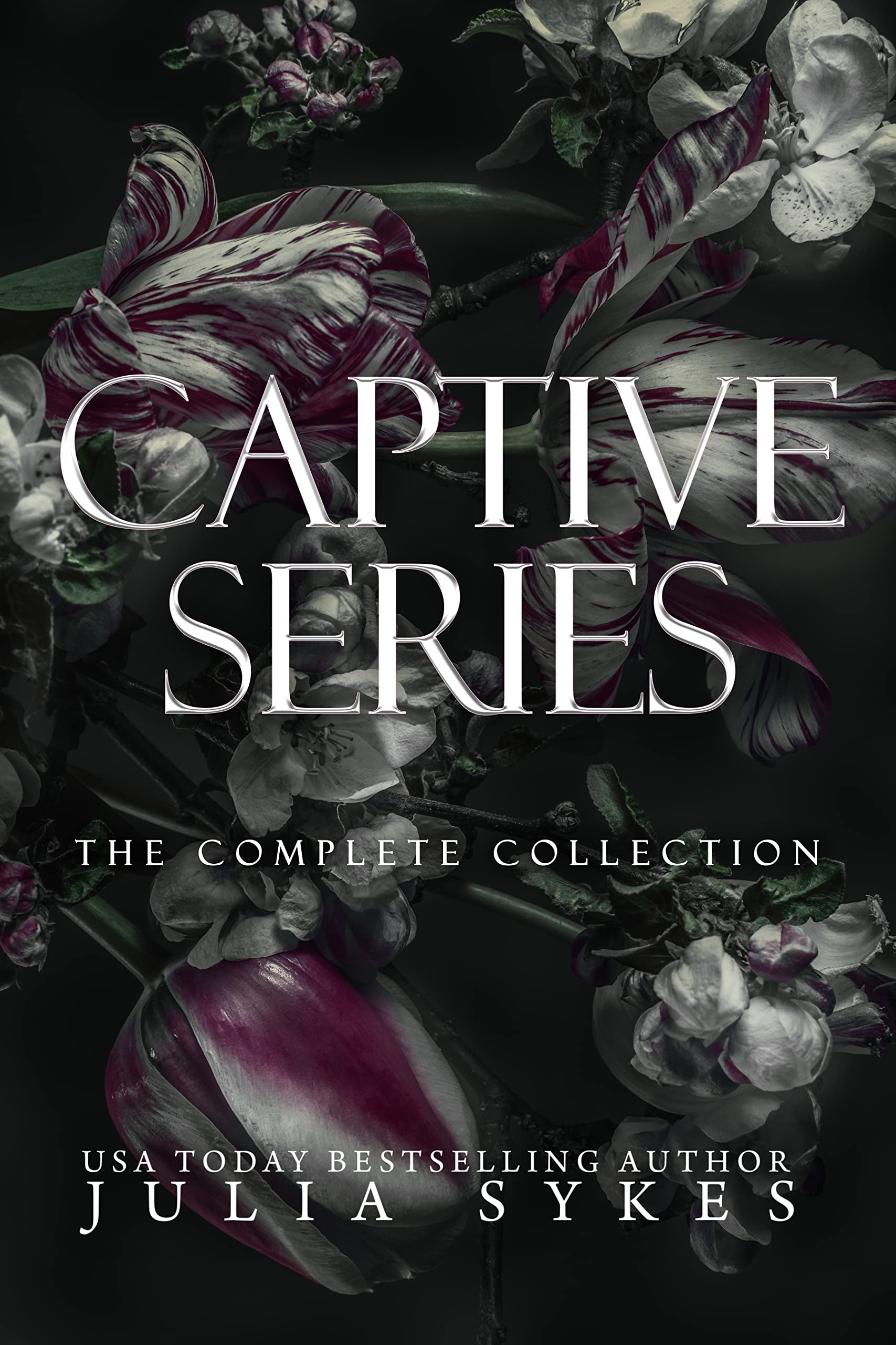 Captive Series: The Complete Collection (Captive, #1-1.5,2,3,4-6)