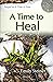 A Time to Heal by Emily Steiner