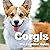 Corgis: The Essential Guide