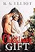 His Christmas Gift (The Billionaire's Secret #10) by R.S. Elliot