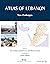 Atlas of Lebanon: New Challenges (Contemporain Co-éditions)