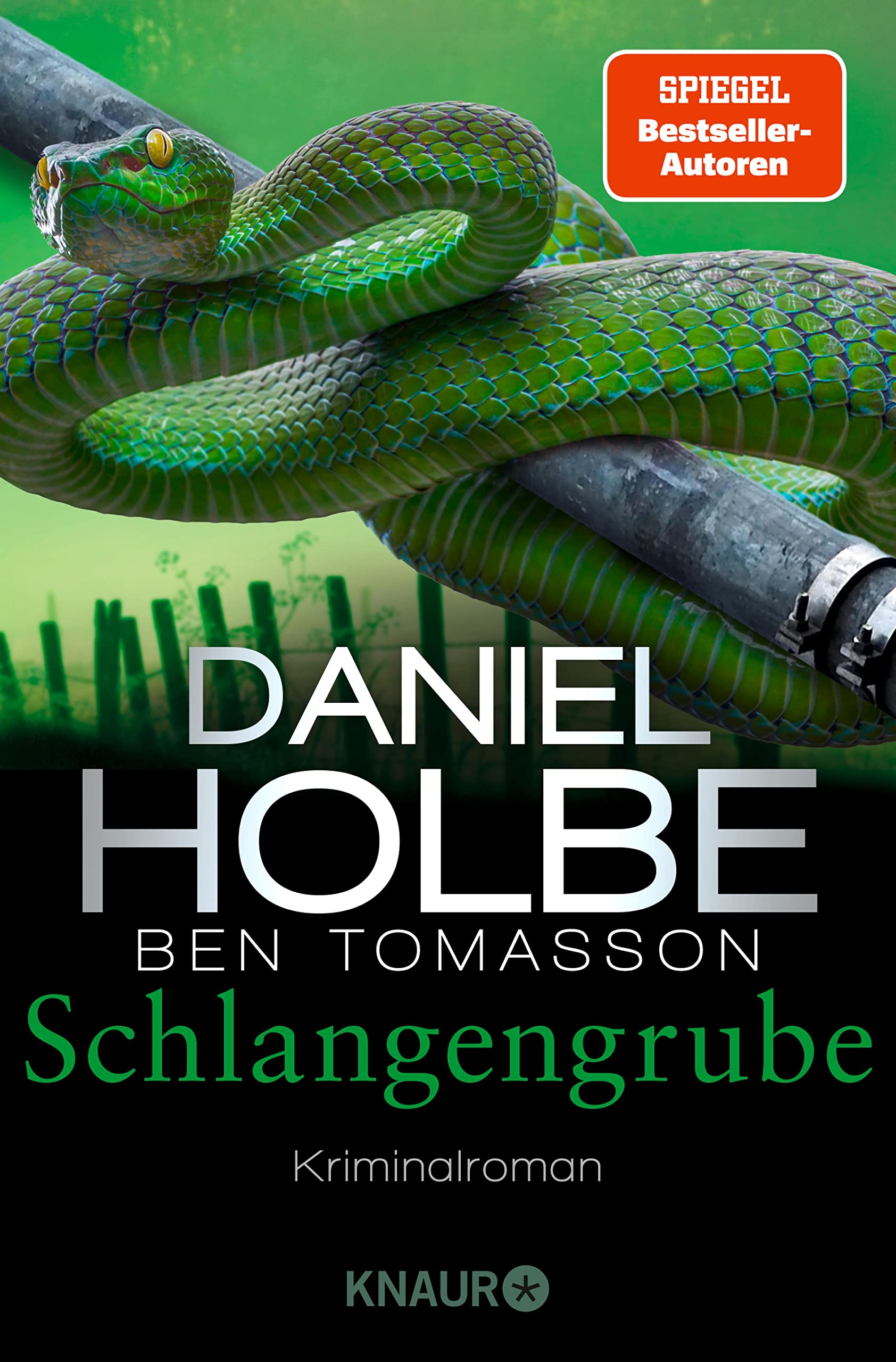 Schlangengrube (Sabine Kaufmann, #7)