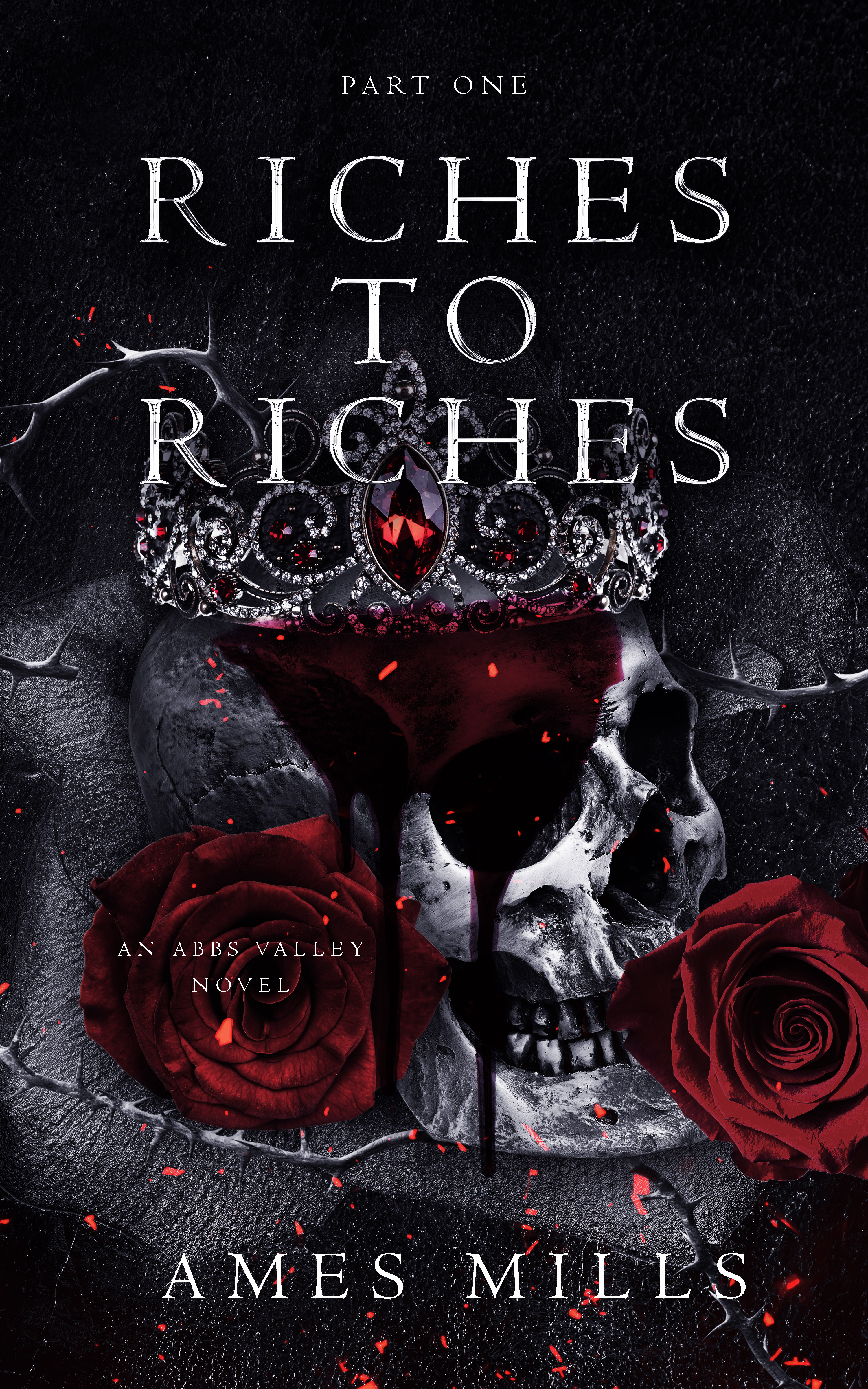 Riches to Riches: Part One (Abbs Valley, #1)