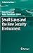 Small States and the New Security Environment by Anne-Marie Brady