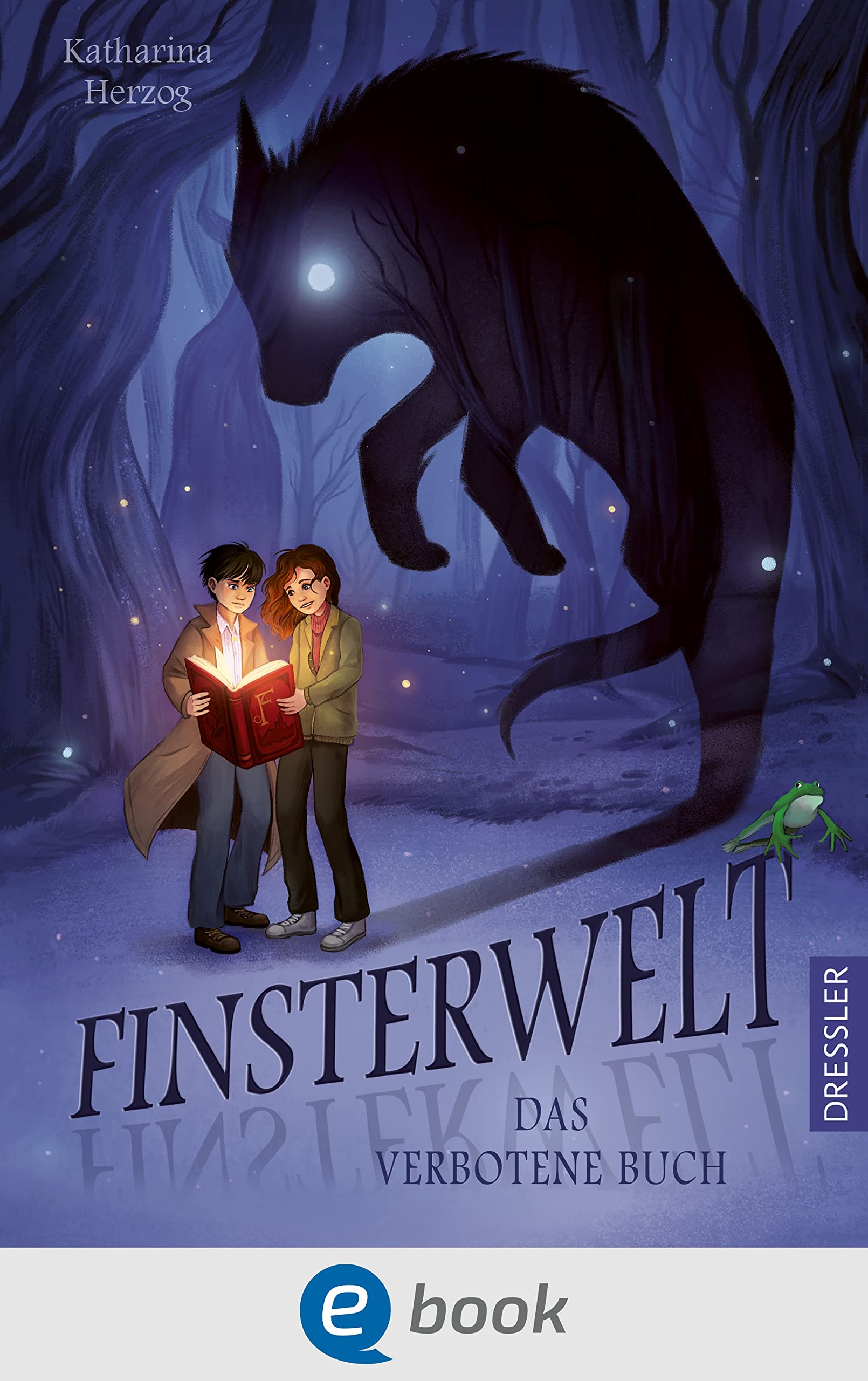Das verbotene Buch (Finsterwelt, #1)