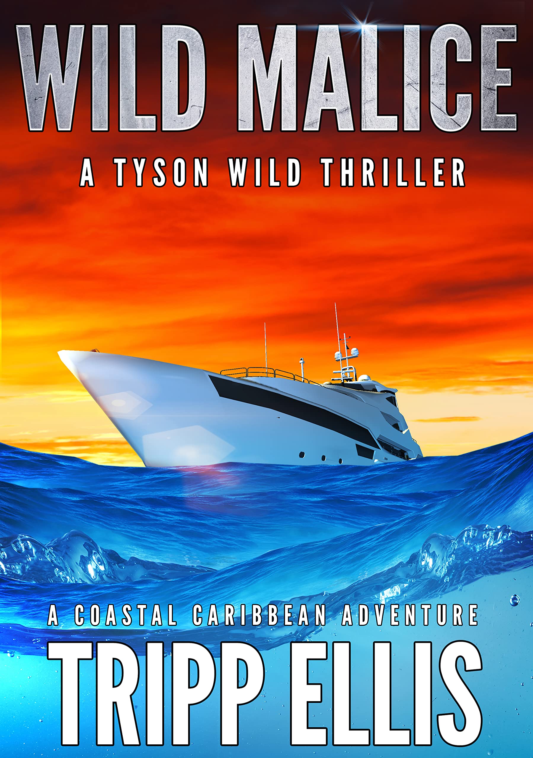 Wild Malice (Tyson Wild Thriller, #49)