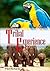 Tribal Experience