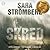Skred (Vera Bergström, #2)