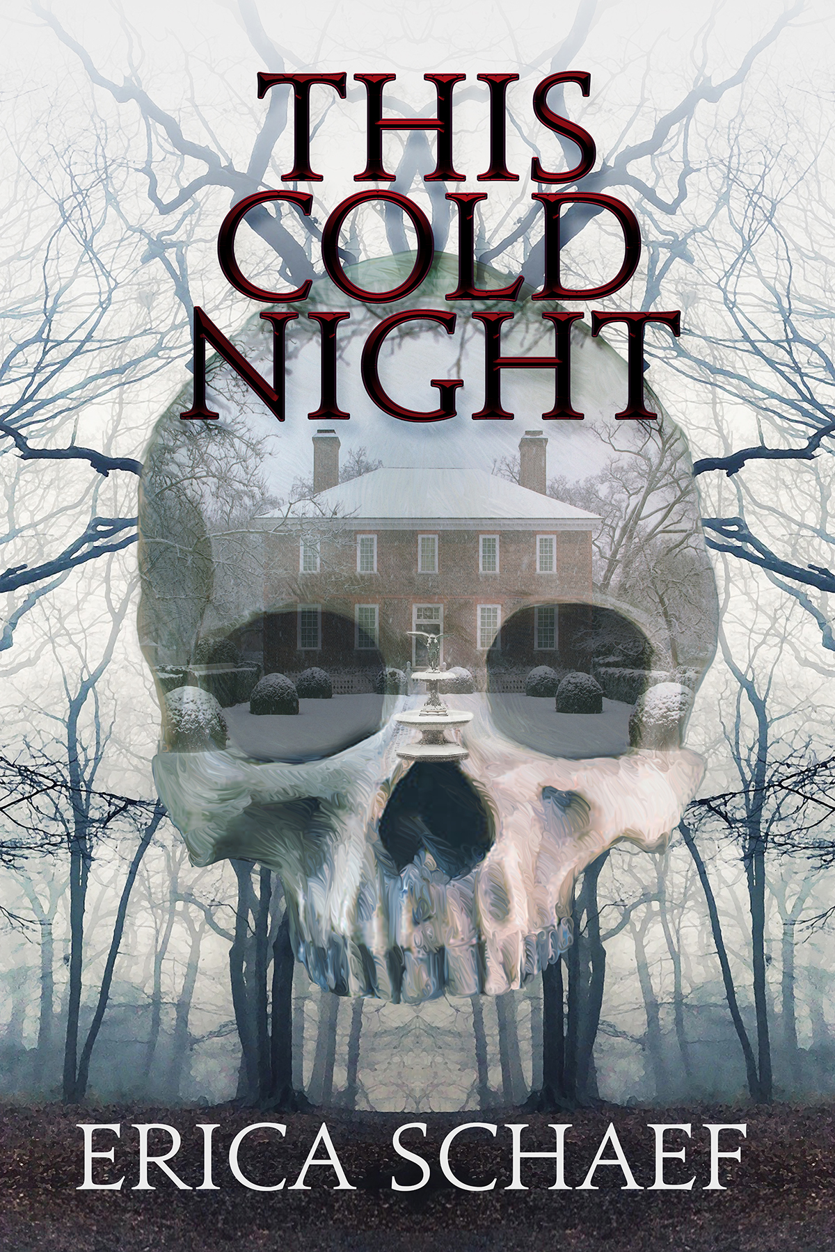 This Cold Night (Paperback)