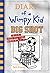 Big Shot (Diary of a Wimpy Kid, #16)
