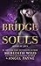 Bridge of Souls (Blood of Z...