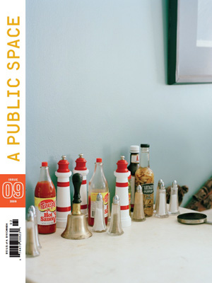 A Public Space no. 9 (Paperback)