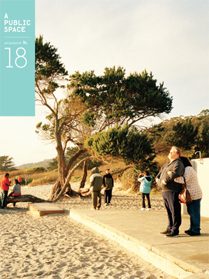 A Public Space no. 18 (Paperback)