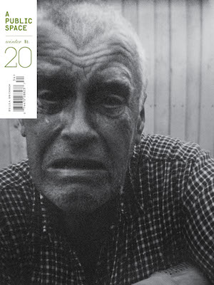 A Public Space no. 20 (Paperback)