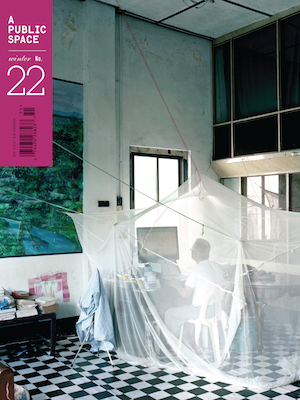 A Public Space no. 22 (Paperback)