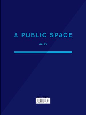 A Public Space no. 25 (Paperback)