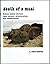 Death of a Moai: Easter Island statues : their nature, deterioration and conservation (Easter Island Foundation occasional paper)