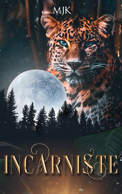 Incarniste (Paperback)