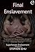 Final Enslavement by Stephen Chu