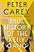 True History of the Kelly Gang