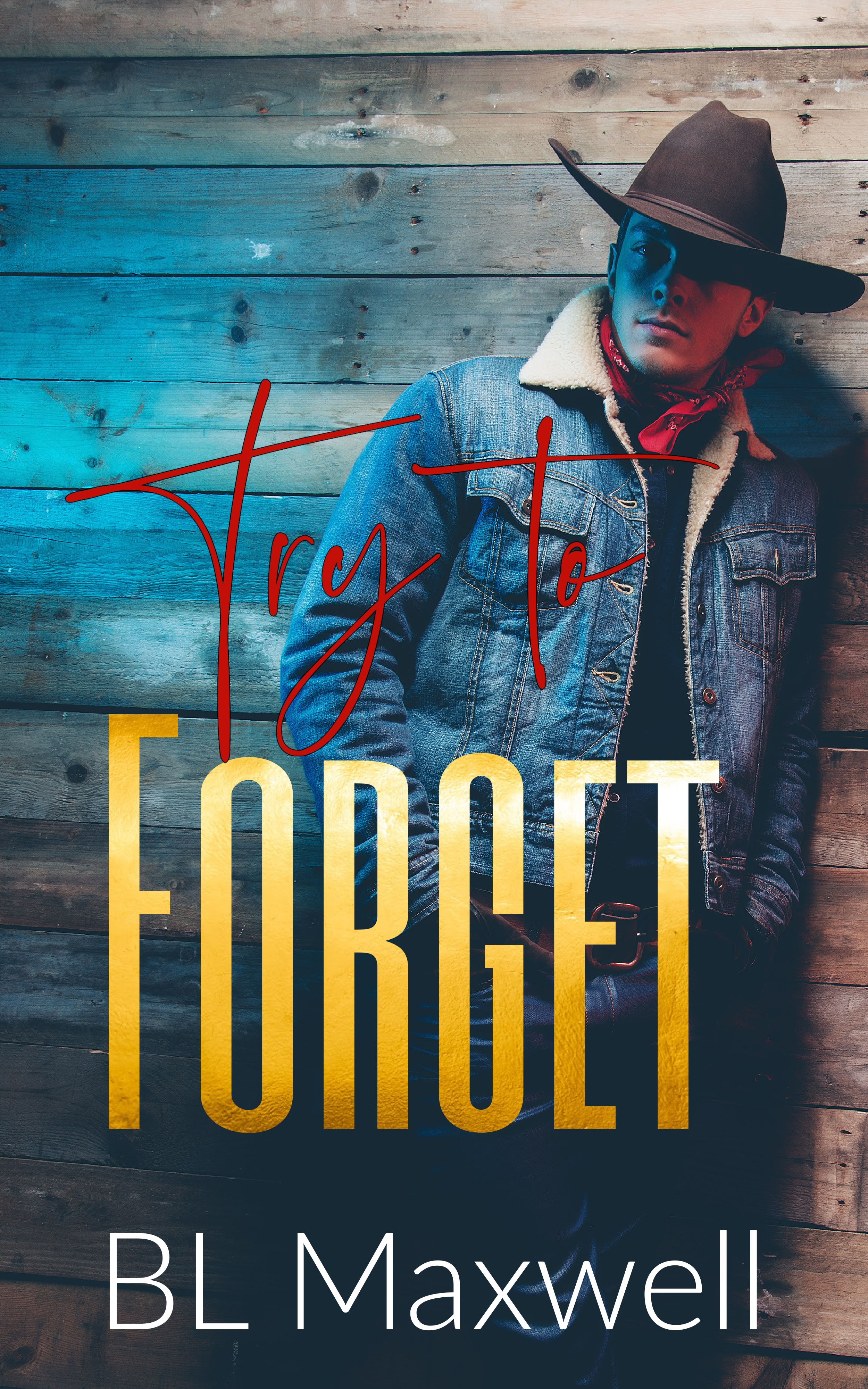 Try to Forget (Kindle Edition)