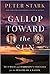 Gallop Toward the Sun: Tecu...