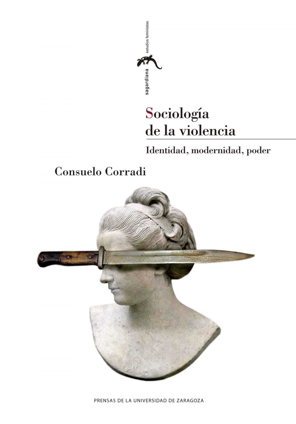 Sociología de la violencia: Identidad, modernidad, poder (Paperback)