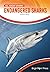 Endangered Sharks