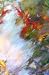 Flying Koi: Impressionist o...