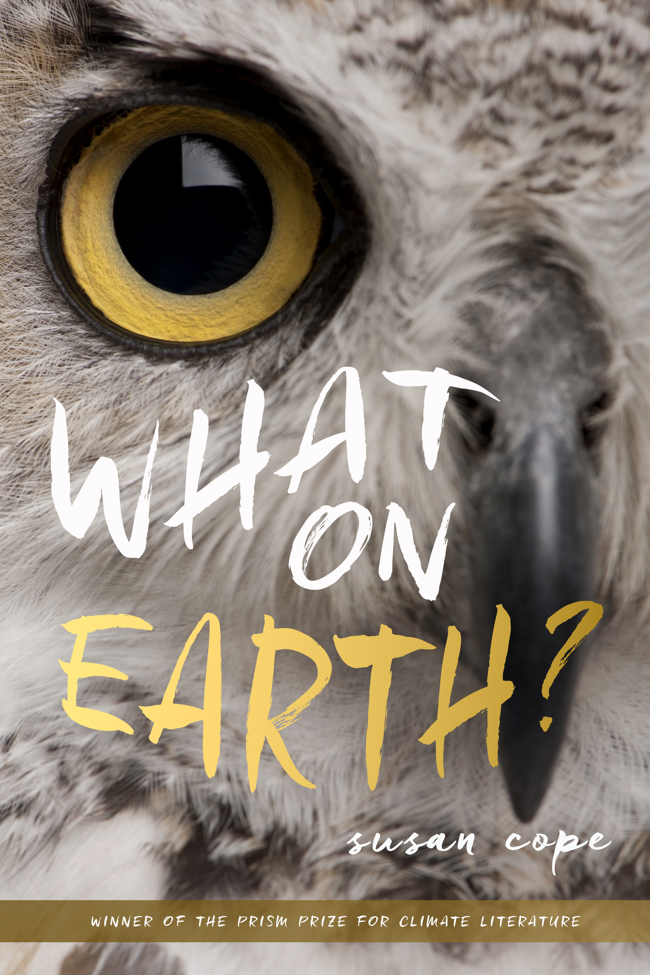What on Earth? (Paperback)