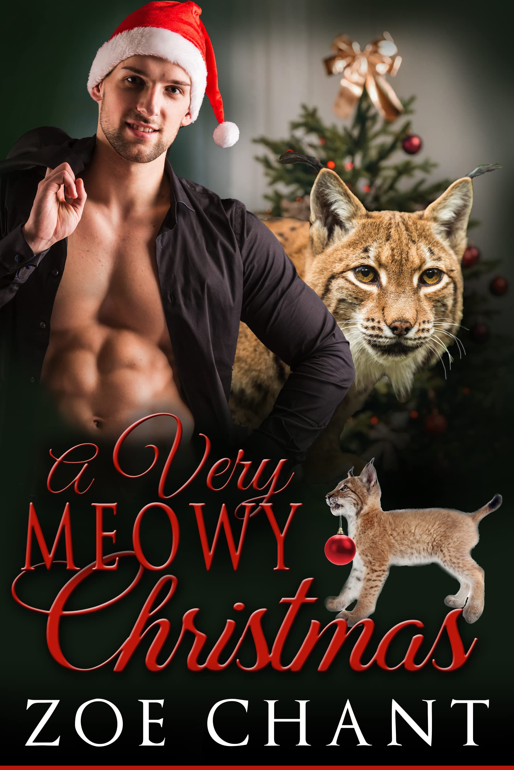 A Very Meowy Christmas (Virtue Shifters, #6)
